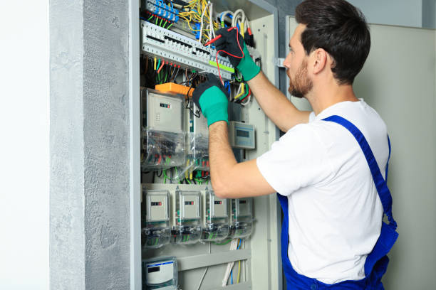 Best Electrical System Inspection  in Cudahy, WI